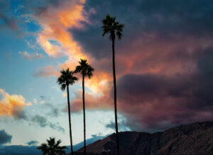 Sunset in Palm Springs